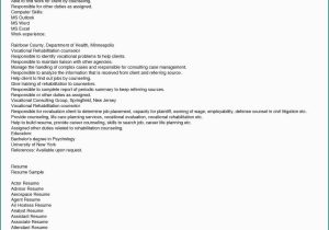 Sample Resume for Bank Clerk In India 59 Inspiring Photos Of Sample Resume for Government Auditor Check …