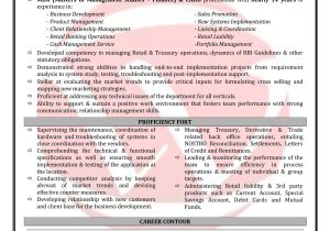 Sample Resume for Bank Jobs Fresher Banking and Finance Sample Resumes, Download Resume format Templates!
