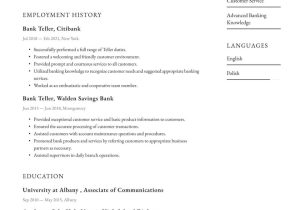 Sample Resume for Bank Teller Position with No Experience Bank Teller Resume Examples & Writing Tips 2022 (free Guide)