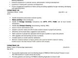 Sample Resume for Banking Operation Officer Operation Officer Cv .doc