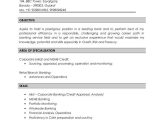 Sample Resume for Banking Operations In India Nitin Kumar Resume Credit Analyst