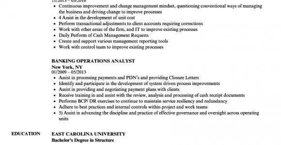 Sample Resume for Banking Operations In India Resume Banker India