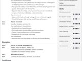 Sample Resume for Bds Freshers India Dental Resume Examples for 2022 [lancarrezekiqskills, format]