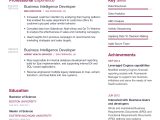 Sample Resume for Beginner Bi Developer Business Intelligence Developer Resume with Content Sample Craftmycv