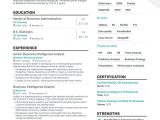 Sample Resume for Beginner Bi Developer Business Intelligence Resume Examples   Templates & Expert Advice …
