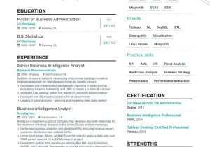 Sample Resume for Beginner Bi Developer Business Intelligence Resume Examples   Templates & Expert Advice …