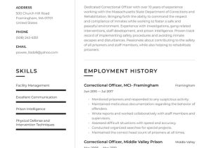 Sample Resume for Beginning Correction Officers Correctional Officer Resume Examples & Writing Tips 2022 (free Guide)