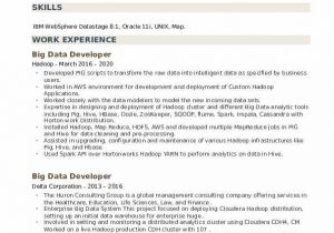 Sample Resume for Big Data Developer Big Data Developer Resume Samples