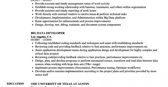 Sample Resume for Big Data Developer Big Data Developer Resume Samples