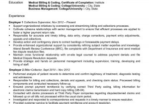 Sample Resume for Billing Executive In Hospital Medical Billing Resume