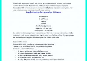 Sample Resume for Blue Collar Worker Awesome Construction Worker Resume Example to Get You Noticed …