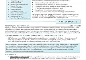 Sample Resume for Board Member Position Example Board Of Directors Executive Resume Pg 1 Executive …