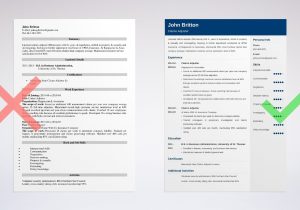 Sample Resume for Bodily Injury Adjuster Insurance Claims Adjuster Resume Sample with Skills