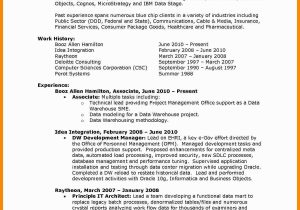 Sample Resume for Booz Allen Hamilton Download New Resume Templates Business Can Save at New Resume …