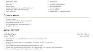 Sample Resume for Border Patrol Agent Border Patrol Agent Resume Builder & Examples Rocket Resume