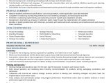 Sample Resume for Brand Marketing Manager Brand Marketing Manager Resume Examples & Template (with Job …