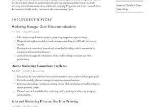 Sample Resume for Brand Marketing Manager Marketing Manager Resume Examples & Writing Tips 2022 (free Guide)