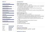 Sample Resume for Broadband Field Technician Field Technician Resume Template 2022 Writing Tips – Resumekraft