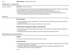 Sample Resume for Bsc Microbiologist Fresher Bsc Chemistry Fresher Resume Sample – Good Resume Examples