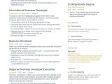 Sample Resume for Business Development Executive Fresher Business Development Resume Samples [4 Templates   Tips] (layout …