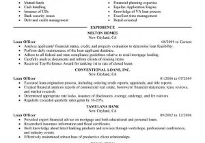 Sample Resume for Business Loan Application Best Loan Officer Resume Example From Professional Resume Writing …