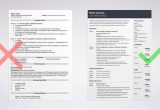 Sample Resume for Business Summer Intern Resume for Internship: Template & Guide (20lancarrezekiq Examples)