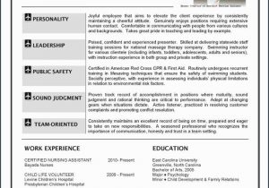 Sample Resume for Cabin Crew Fresher 17 Cabin Crew Ideas Flight attendant Resume, Cabin Crew, Resume …