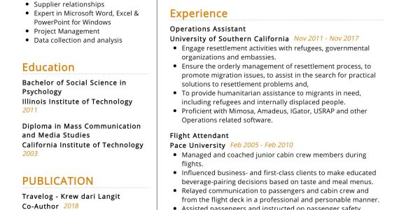 Sample Resume for Cabin Crew with Experience Flight attendant Resume Sample 2022 Writing Tips – Resumekraft
