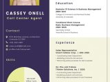 Sample Resume for Call Center Agent Applicant No Experience Call Center Resume Template – Indesign, Word …