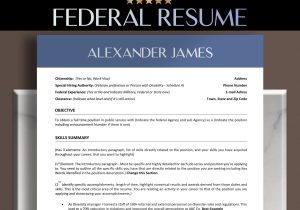 Sample Resume for Canadian Federal Government Job Federal Resume Templates Word Resume Federal Government – Etsy Canada