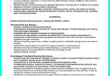 Sample Resume for Case Manager Position Awesome Inspiring Case Manager Resume to Be Successful In Gaining …