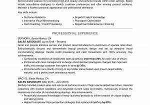 Sample Resume for Clothing Store Sales associate Important Skills for Sales associate Jobs
