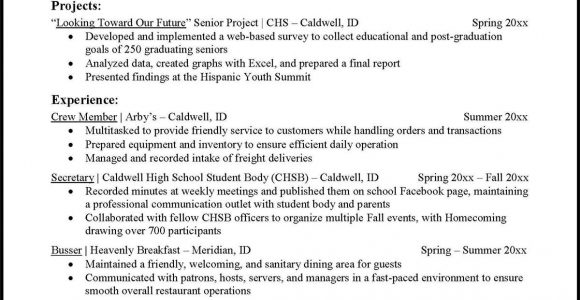 Sample Resume for Co Op Position Resumes and Cvs – Career Services – University Of Idaho