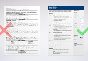 Sample Resume for College Faculty Position Professor Resume: Sample & Writing Guide [20lancarrezekiq Tips]