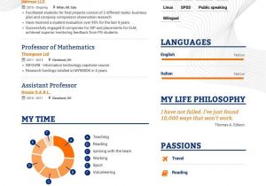 Sample Resume for College Faculty Position top Professor Resume Examples & Samples for 2021 Enhancv.com