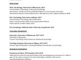Sample Resume for College Instructor Position Academic Curriculum Vitae (cv) Example and Writing Tips