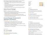 Sample Resume for Commercial Insurance Account Manager Account Manager Resume: Ultimate Writing Guide with Samples