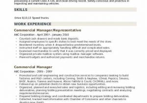 Sample Resume for Commercial Manager In India Mercial Manager Resume Samples