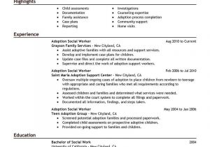 Sample Resume for Community Service Worker Human Service Worker Sample Resume Executive Summary Doc Services …