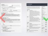 Sample Resume for Computer Programming Student Programmer Resume Examples (template & Guide)
