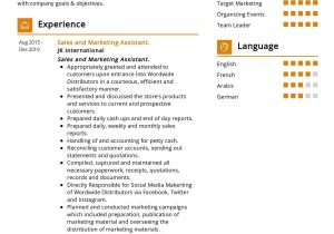 Sample Resume for Computer Shop assistant Junior Sales assistant Cv Sample 2022 Writing Tips – Resumekraft