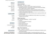 Sample Resume for Computer Shop assistant Junior Sales assistant Resume Example 2021 Writing Tips …