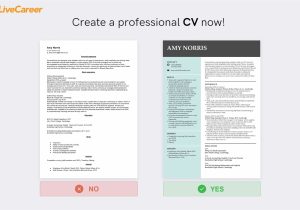 Sample Resume for Computer Shop assistant Shop assistant Cv Example and How to Write (10lancarrezekiq Tips)
