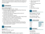 Sample Resume for Computer Systems Engineer Senior System Engineer Resume Sample 2022 Writing Tips – Resumekraft