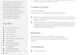 Sample Resume for Computer Technician Fresh Graduate Entry-level Information Technology Resume Examples In 2022 …
