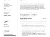 Sample Resume for Construction Branch Coordinagtor Branch Manager Resume & Guide 20 Templates 2022