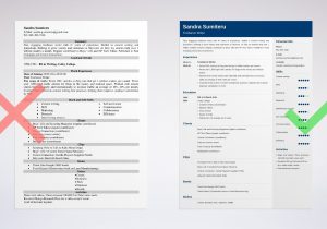 Sample Resume for Content Writer Fresher Freelance Writer Resume Sample (template & Guide)