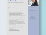 Sample Resume for Corporate Travel Consultant Corporate Travel Consultant Resume Template – Word, Apple Pages …