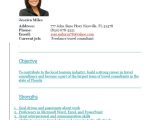 Sample Resume for Corporate Travel Consultant Travel Consultant Resume Sample Pdf Consultant Guide Book