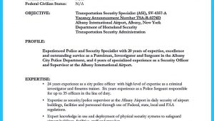 Sample Resume for Correctional Officer with No Experience Cover Letter for Prison Officer with No Experience October 2021
